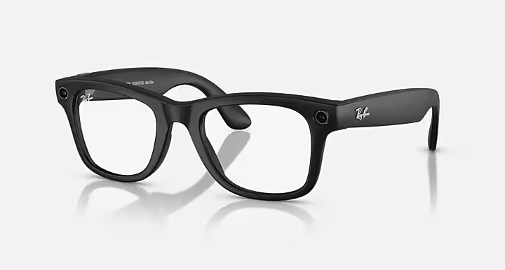 META WAYFARER - GEN 1